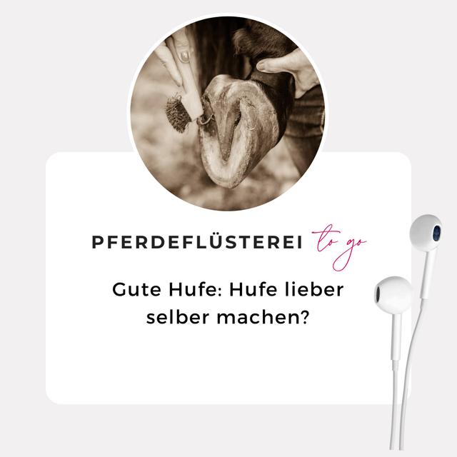 Gute Hufe: Hufe lieber selber machen? - podcast episode cover