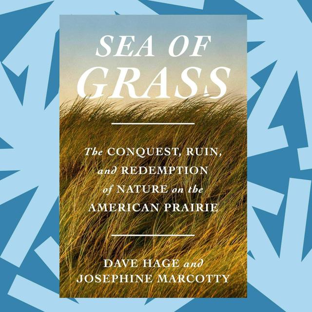 'Sea of Grass' chronicles the disappearance of the North American prairie - podcast episode cover