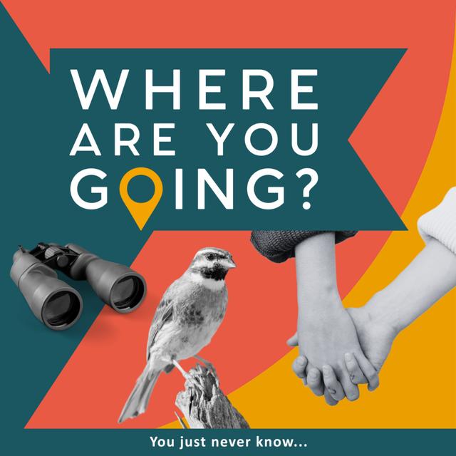 Birds, Binoculars and an Anniversary - podcast episode cover