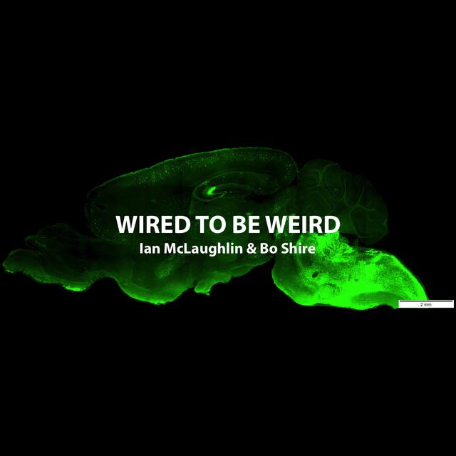 What does psychotic mean? - podcast episode cover