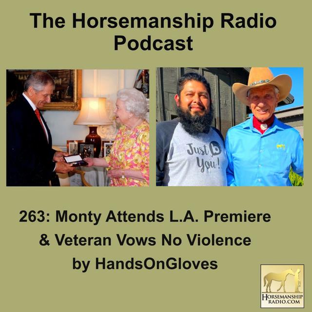263: Monty Attends L.A. Premiere & Veteran Vows No Violence  by HandsOnGloves - podcast episode cover