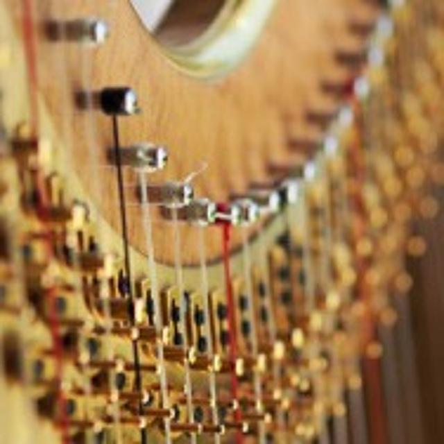 PODCAST: The harp doctor is in - podcast episode cover