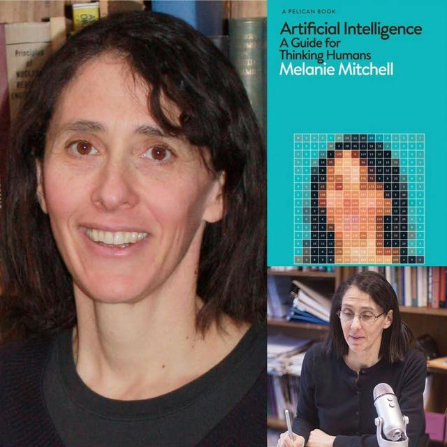 Artificial Intelligence Researcher Melanie Mitchell - podcast episode cover