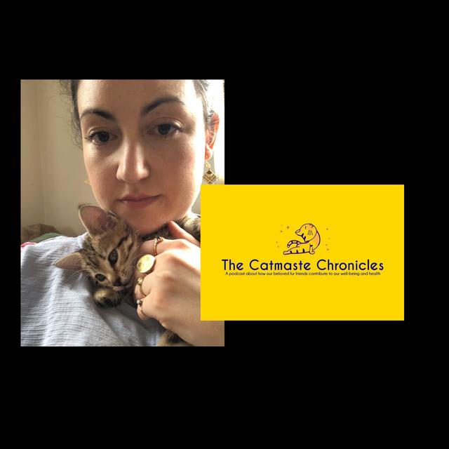 Jane Layton 'Kitsch2thecore upcyled sustainable jewellery and cats' - podcast episode cover