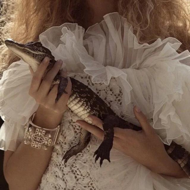 Guilty Creatures with Mikita Brottman - podcast episode cover