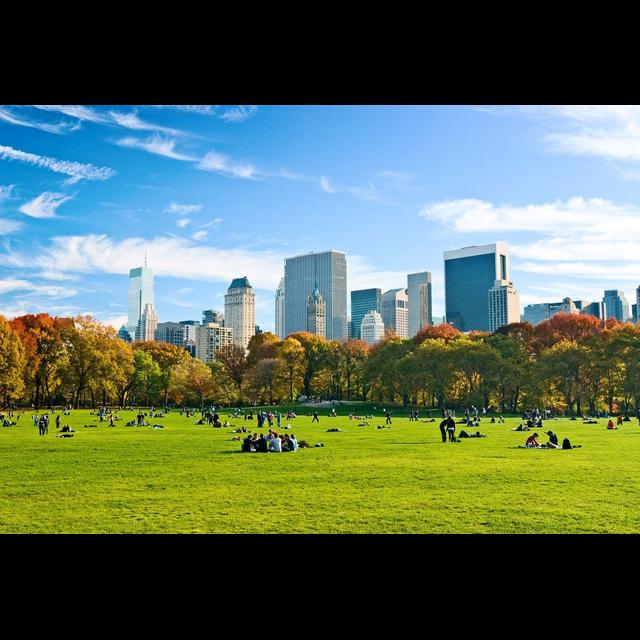 Scenic City Sights Linked to Higher Happiness - podcast episode cover