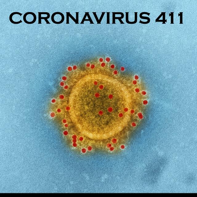 COVID, Coronavirus, Omicron and Delta variants, and vaccine updates for 12-20-2021 - podcast episode cover