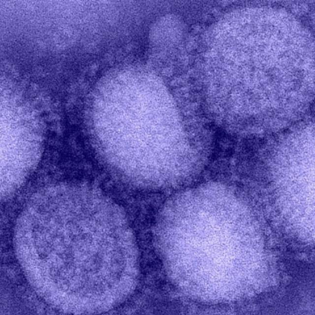 Covid-19, Flu, and RSV: A Triple Health Threat Update with Dr. Sandra R. Hernandez, CEO, Calilfornia Health Care Foundation - podcast episode cover