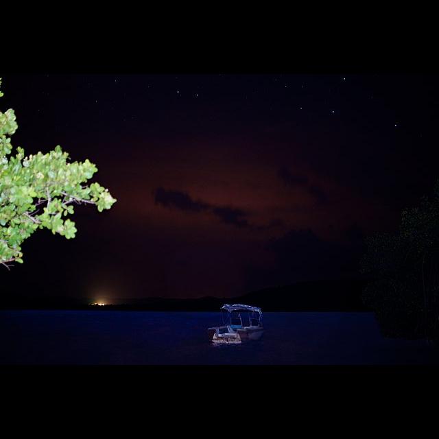 090 - The Bioluminescent Bay of Puerto Mosquito and the Columbian Exchange - podcast episode cover