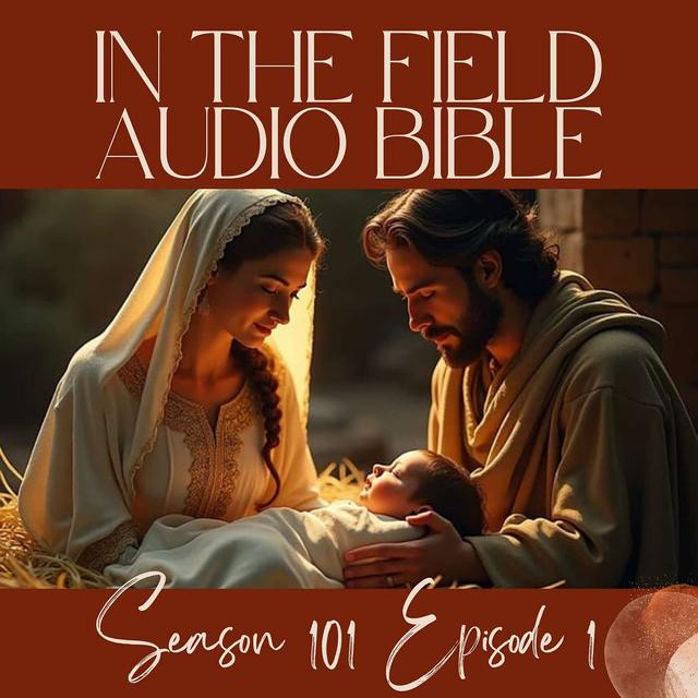 Journey Into the Heart of The Christmas Story - podcast episode cover
