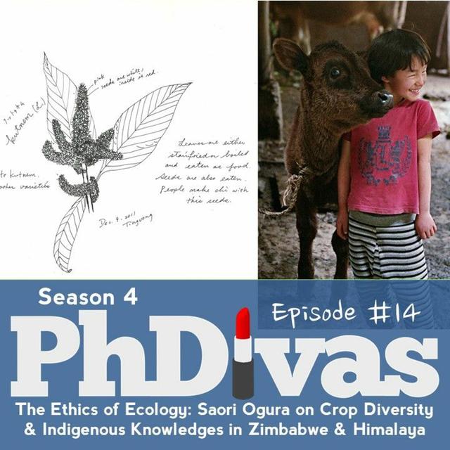 S04E14 | Ethics of Ecology: Saori Ogura on Crops & Indigenous Knowledges in Zimbabwe & Himalaya - podcast episode cover