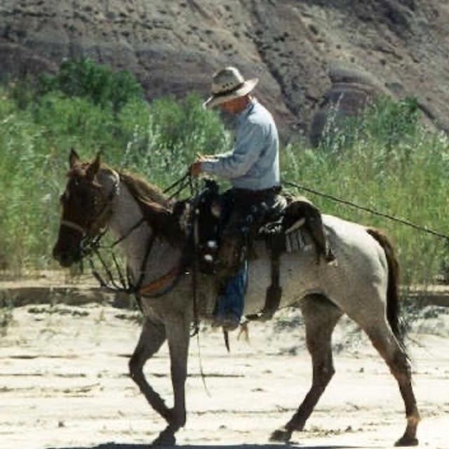 Ep 10 📞The Phone Call : 🐎Oh Brother Where Art Thou? - podcast episode cover