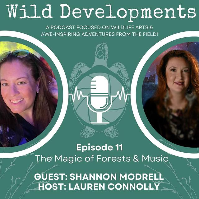 The Magic of Forests & Music - podcast episode cover