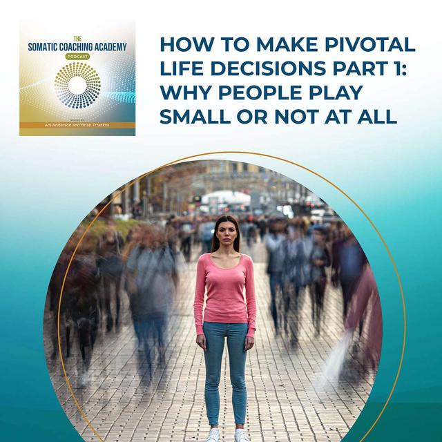 How to Make Pivotal Life Decisions Part 1: Why People Play Small or Not at All - podcast episode cover