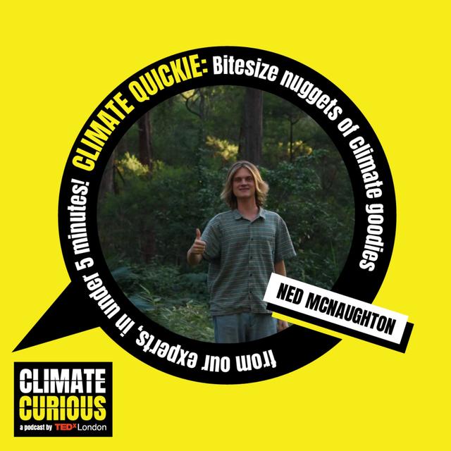 How Ned’s Forest inspires a new model of environmental stewardship - podcast episode cover