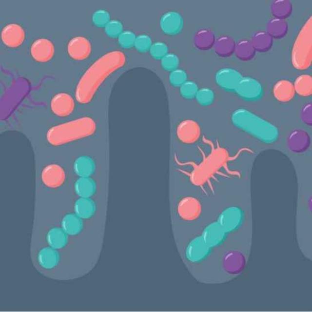 Reproducibility in microbiomics - podcast episode cover