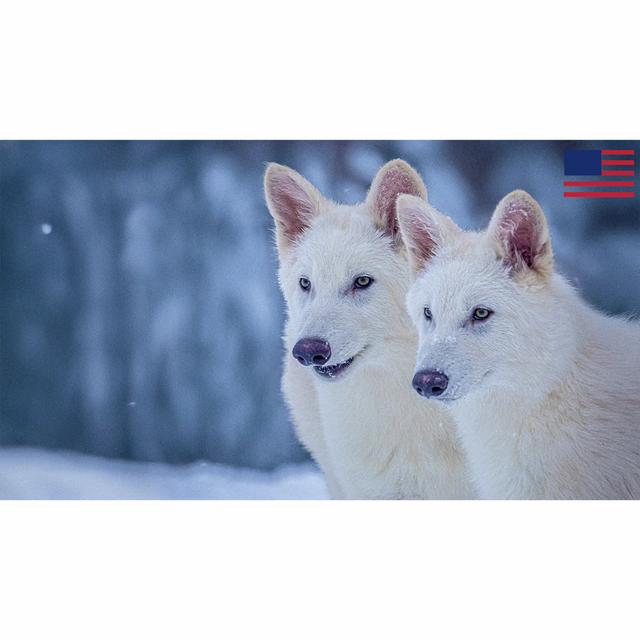 THOUGHTCRIME Ep. 79 — Real-Life Dire Wolves? Austin Metcalf and Karmelo Anthony? - podcast episode cover
