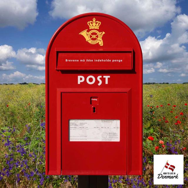 What Newcomers to Denmark Ask Me - podcast episode cover