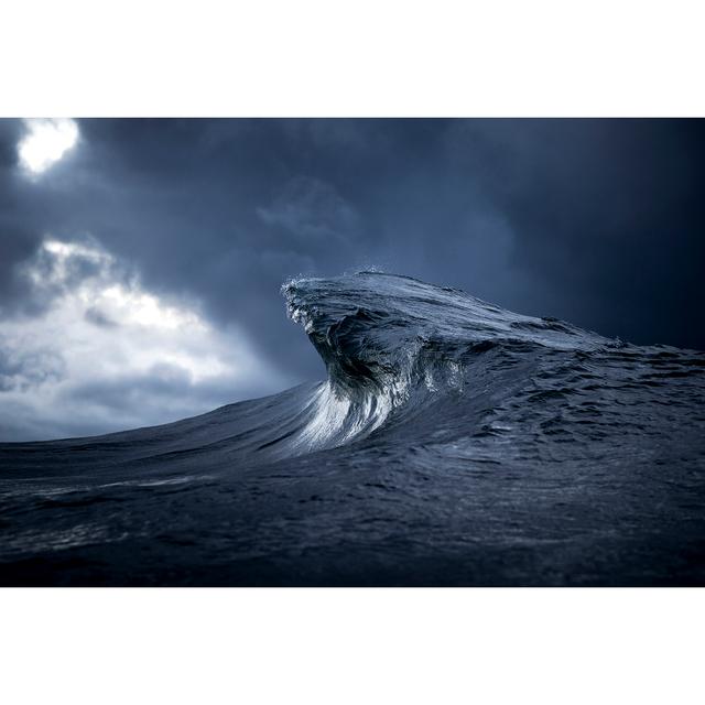 Ray Collins - The Two Ingredients are Water and Light - podcast episode cover