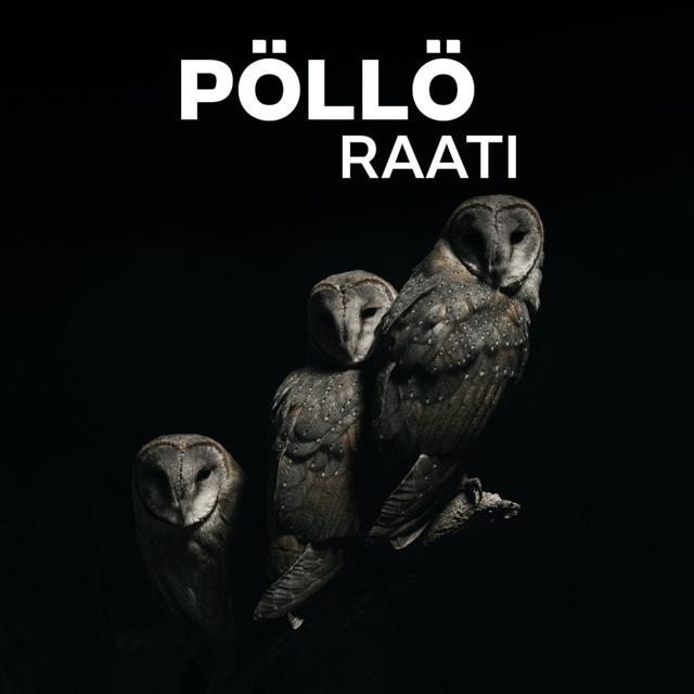 Mitä kunta-alan palkkasovusta jäi käteen? Millaisia kuvia päättäjistä on soveliasta ottaa? - podcast episode cover
