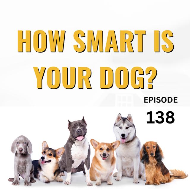 Canine IQ: Do You Have A Smart Dog? - podcast episode cover