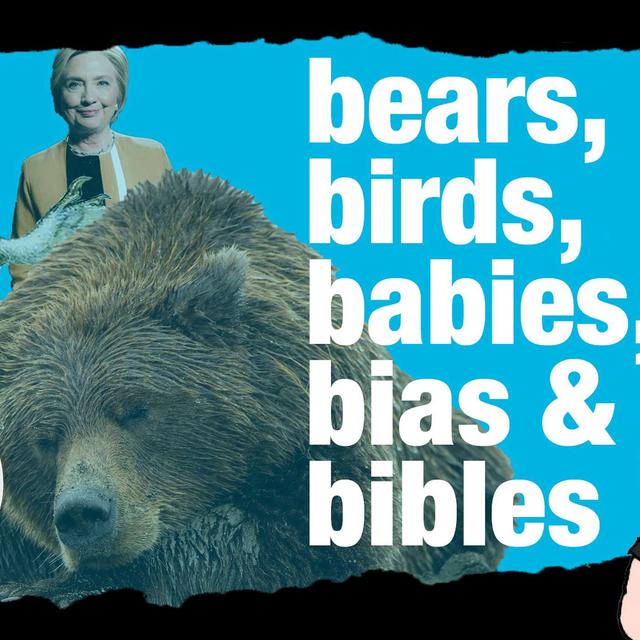(Ken) Ham & AiG News - If Hibernation is True, Why are there Still Naps? - podcast episode cover