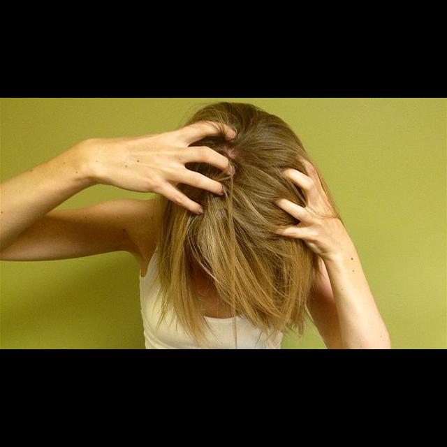Got nits? Head lice is nothing compared to the 'lousy' lives of our ancestors - podcast episode cover