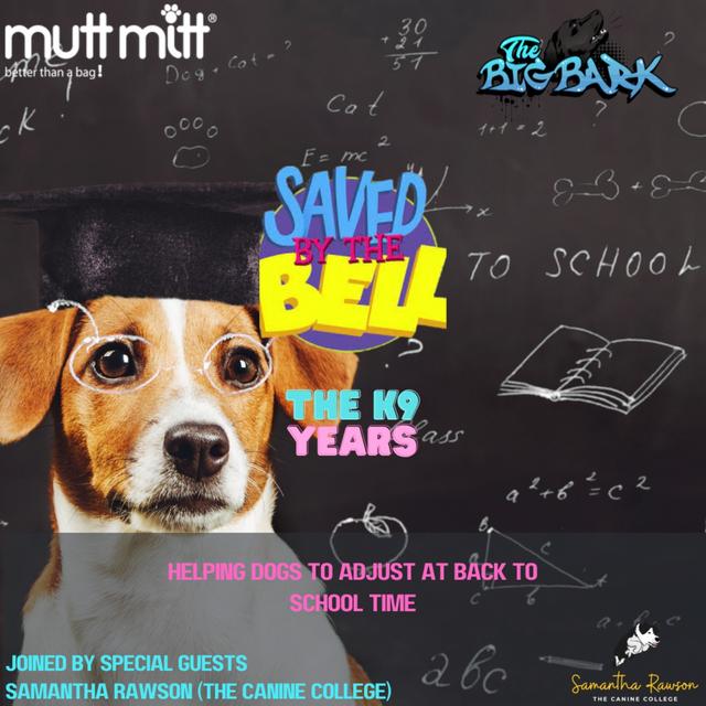 The Big Bark - S04 EO6 - Episode #66 - Saved by the Bell - The canine years - podcast episode cover