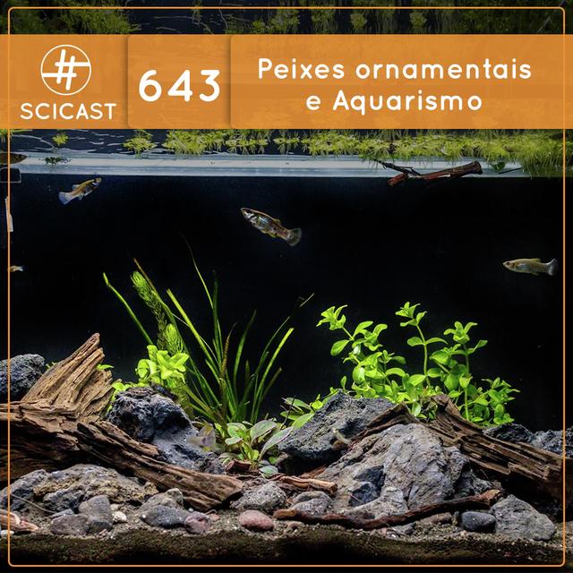 Peixes Ornamentais e Aquarismo (SciCast #643) - podcast episode cover