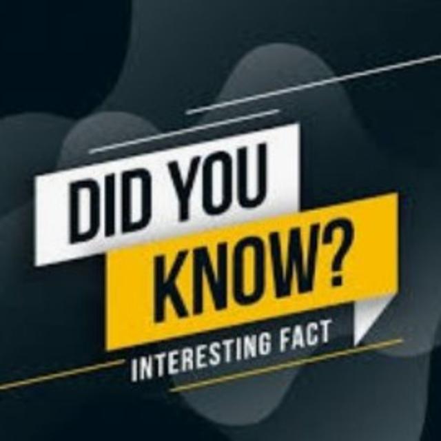 S2/Ep.36 ”Did You Know?” - podcast episode cover