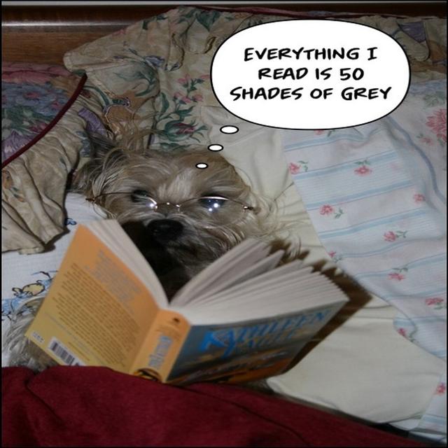 The New 50 Shades - podcast episode cover