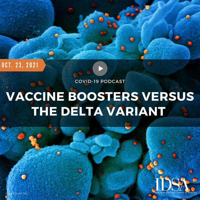 COVID-19 Vaccine Boosters Versus the Delta Variant (Oct. 23, 2021) - podcast episode cover