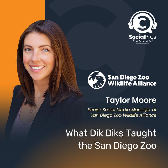 What Dik Dik’s Taught the San Diego Zoo - podcast episode cover