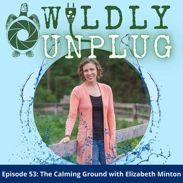 The Calming Ground - podcast episode cover