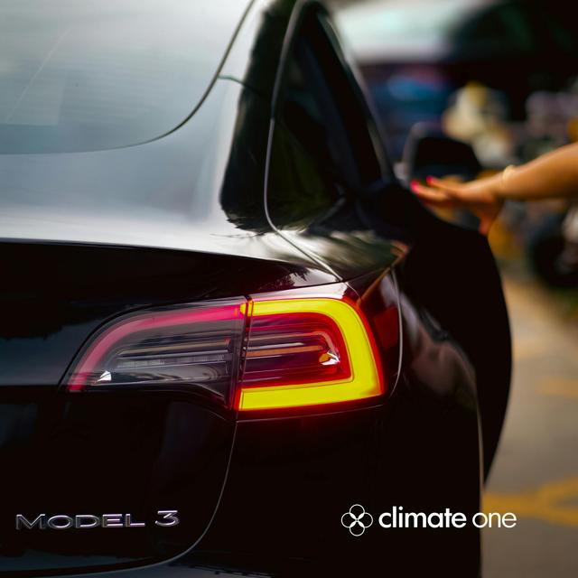 BONUS: He Started Tesla Employees Against Elon. Then Got Fired. - podcast episode cover