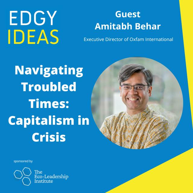 88: Navigating Troubled Times: Capitalism in Crisis - podcast episode cover