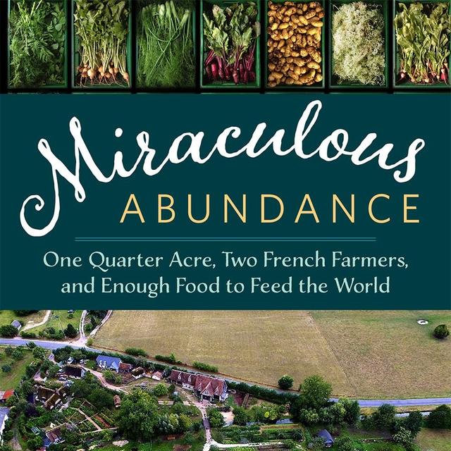 Creating a Miraculous Abundance - podcast episode cover