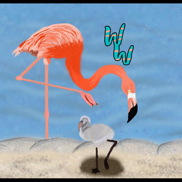 American Flamingos - podcast episode cover