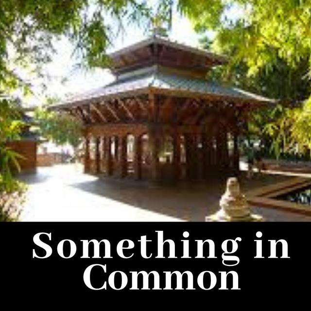 Something in Common - podcast episode cover
