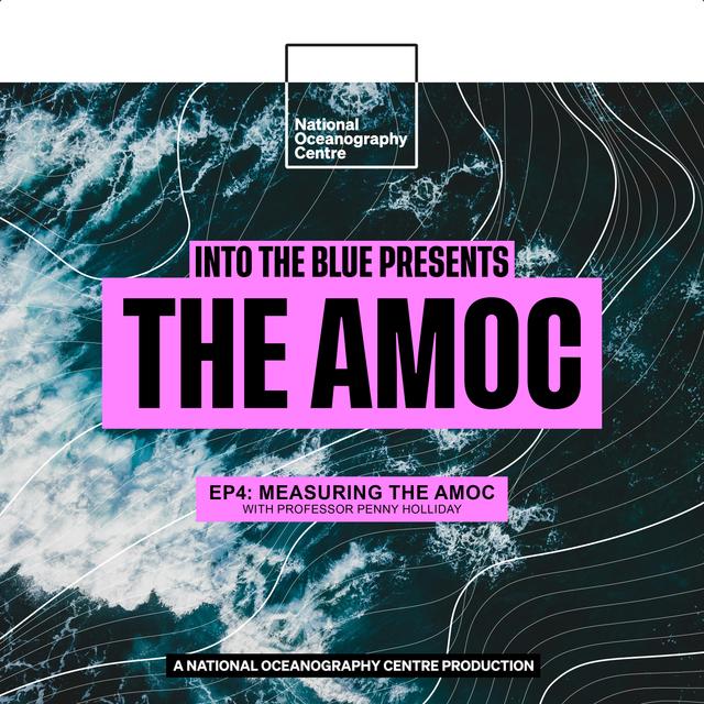 How Ocean Arrays Give Us Indications of the AMOC's Health | Into the Blue Presents: The AMOC Ep4 - podcast episode cover