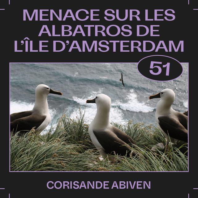 #51 — Menace sur les albatros de l'île d'Amsterdam, avec Corisande Abiven - podcast episode cover