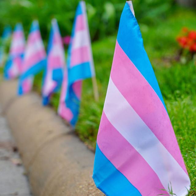Gender in Sports with Joanna Harper and Heather Berlin, PhD (Re-release) - podcast episode cover