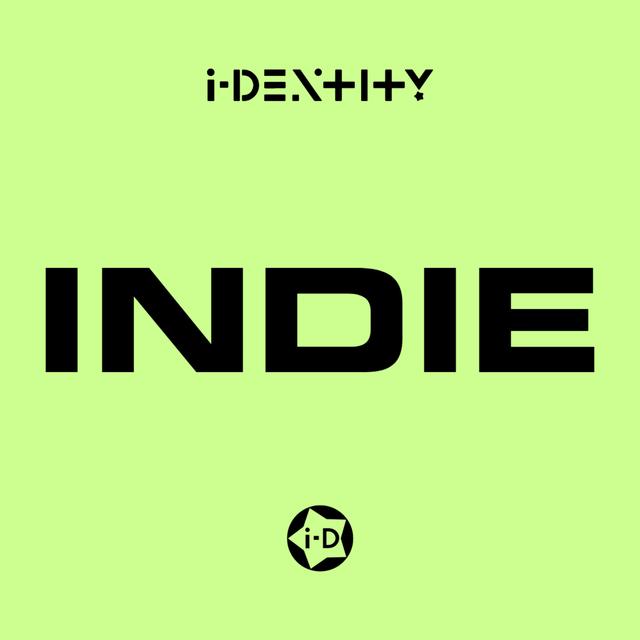Indie: The Last Subculture of the Pre-Digital Era - podcast episode cover