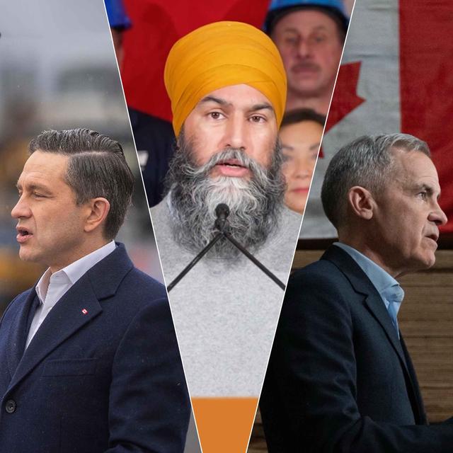 Political Animals in the Wild (a Field Report from Ottawa) - podcast episode cover