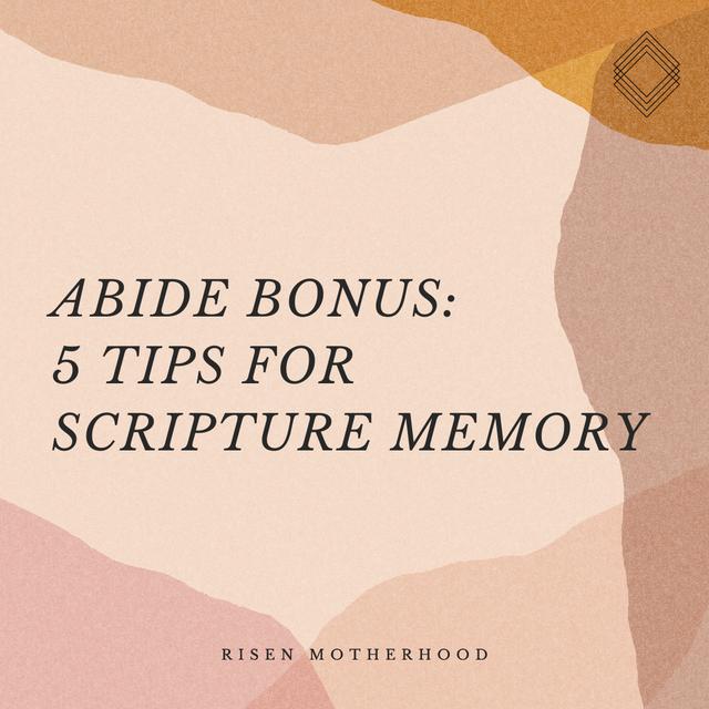 Abide Bonus: 5 Tips for Scripture Memory - podcast episode cover