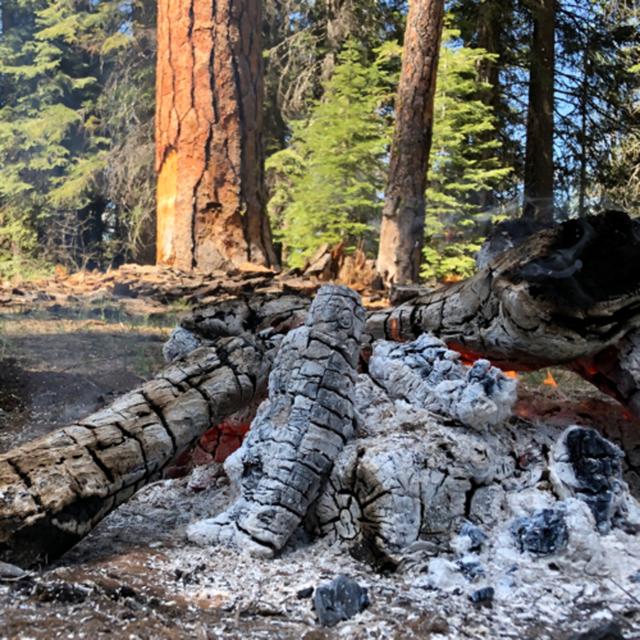 Episode 38: Spring Morning Campfire - podcast episode cover
