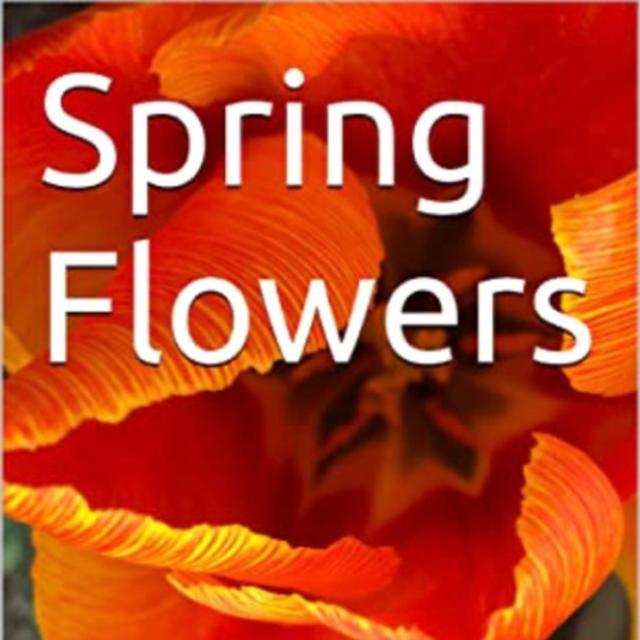 Spring Flowers Volume 19 Tulip by Daniel Lucas - podcast episode cover