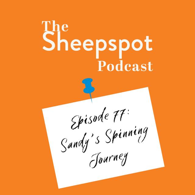 Episode 77: Sandy’s Spinning Journey - podcast episode cover