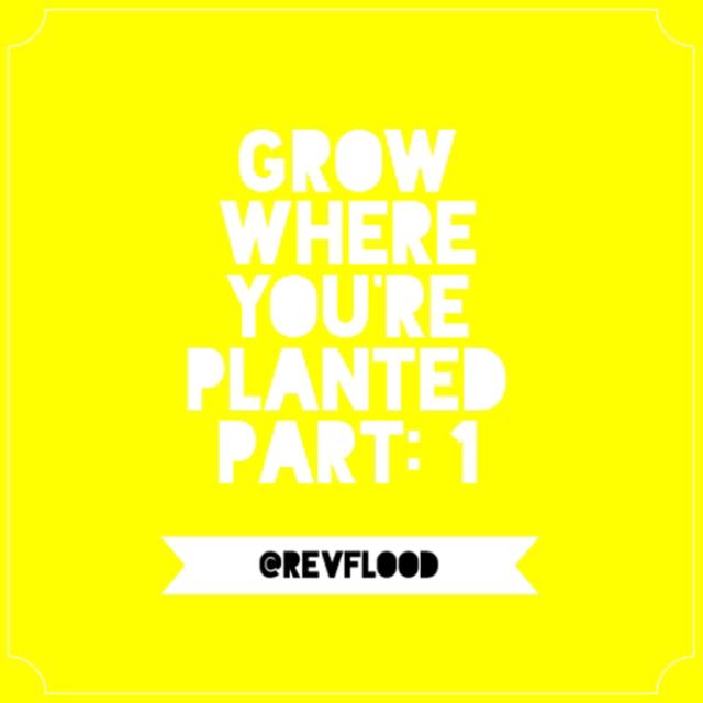 Episode 9: Grow Where You’re Planted Part: 1 - podcast episode cover