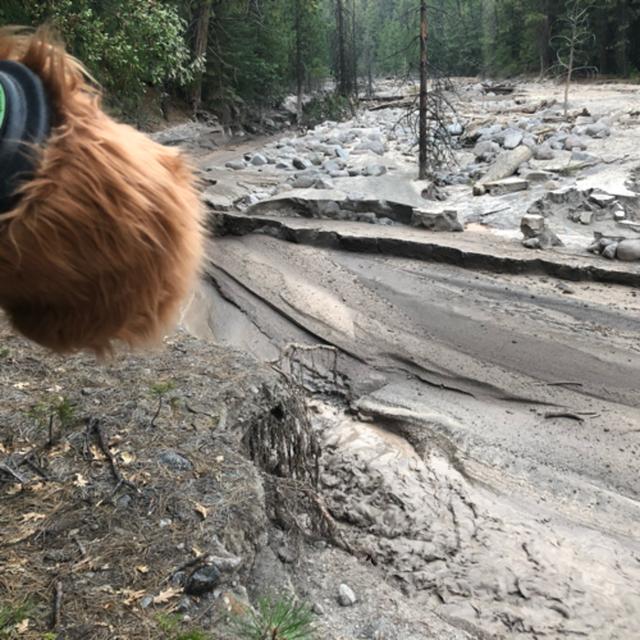 Episode 81: Mud Creek Mud Flow - podcast episode cover